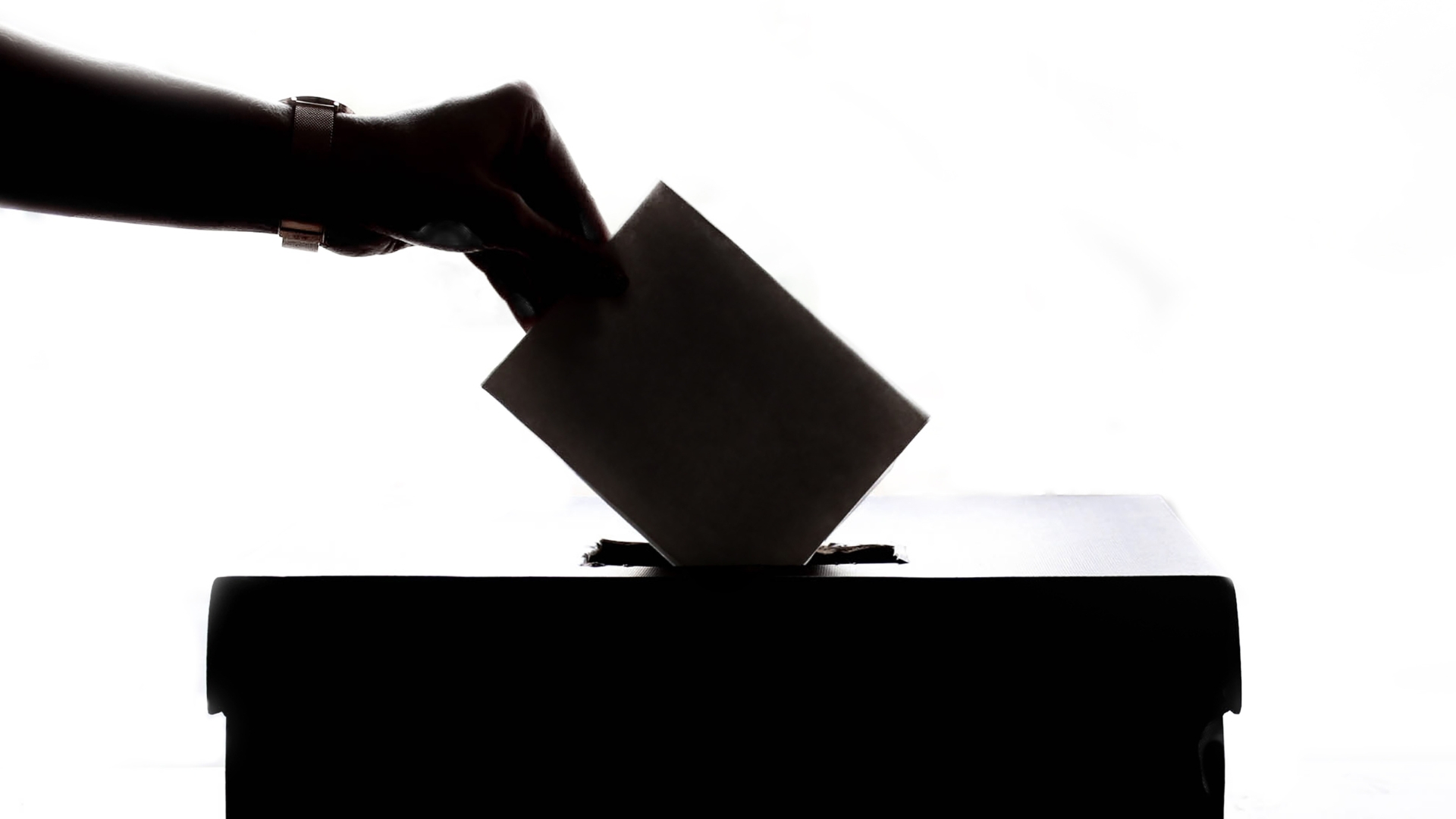 Tripura VC polls: BJP-Tipra Motha combine wins over 35% seats unopposed