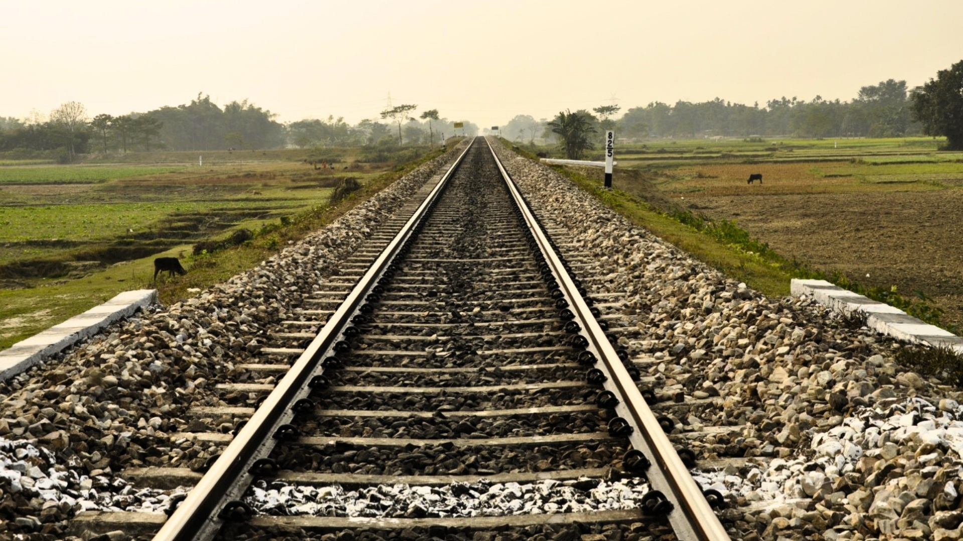 Railway approves six line projects in NFR region