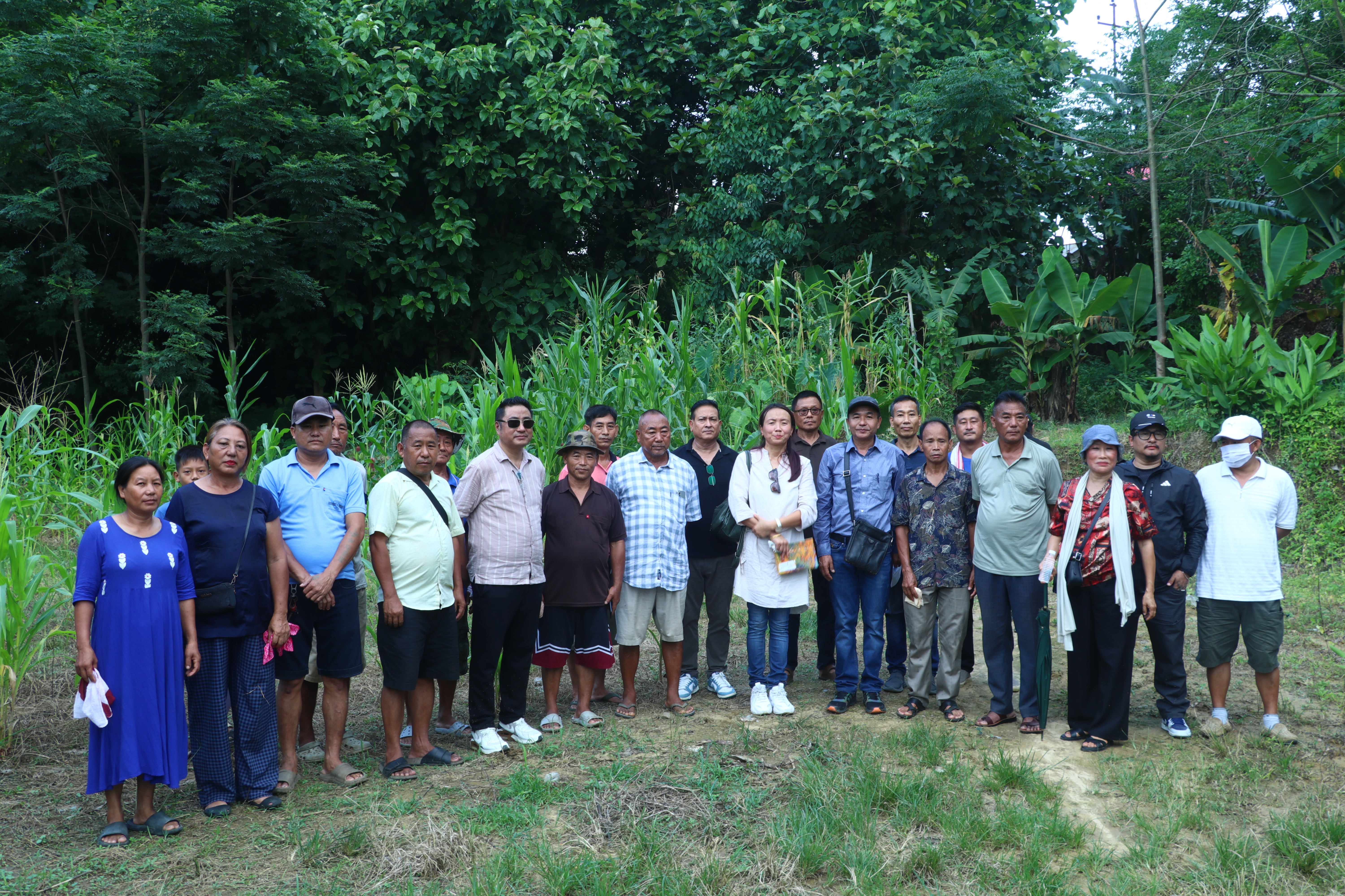 NEC Reviews Coffee Clusters in Nagaland