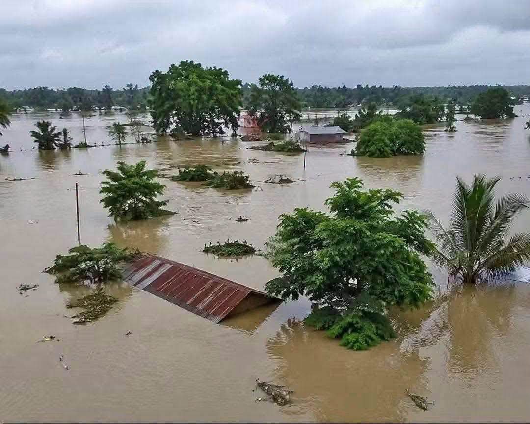 Nagaland's torrential rain causes flash floods in Upper Assam