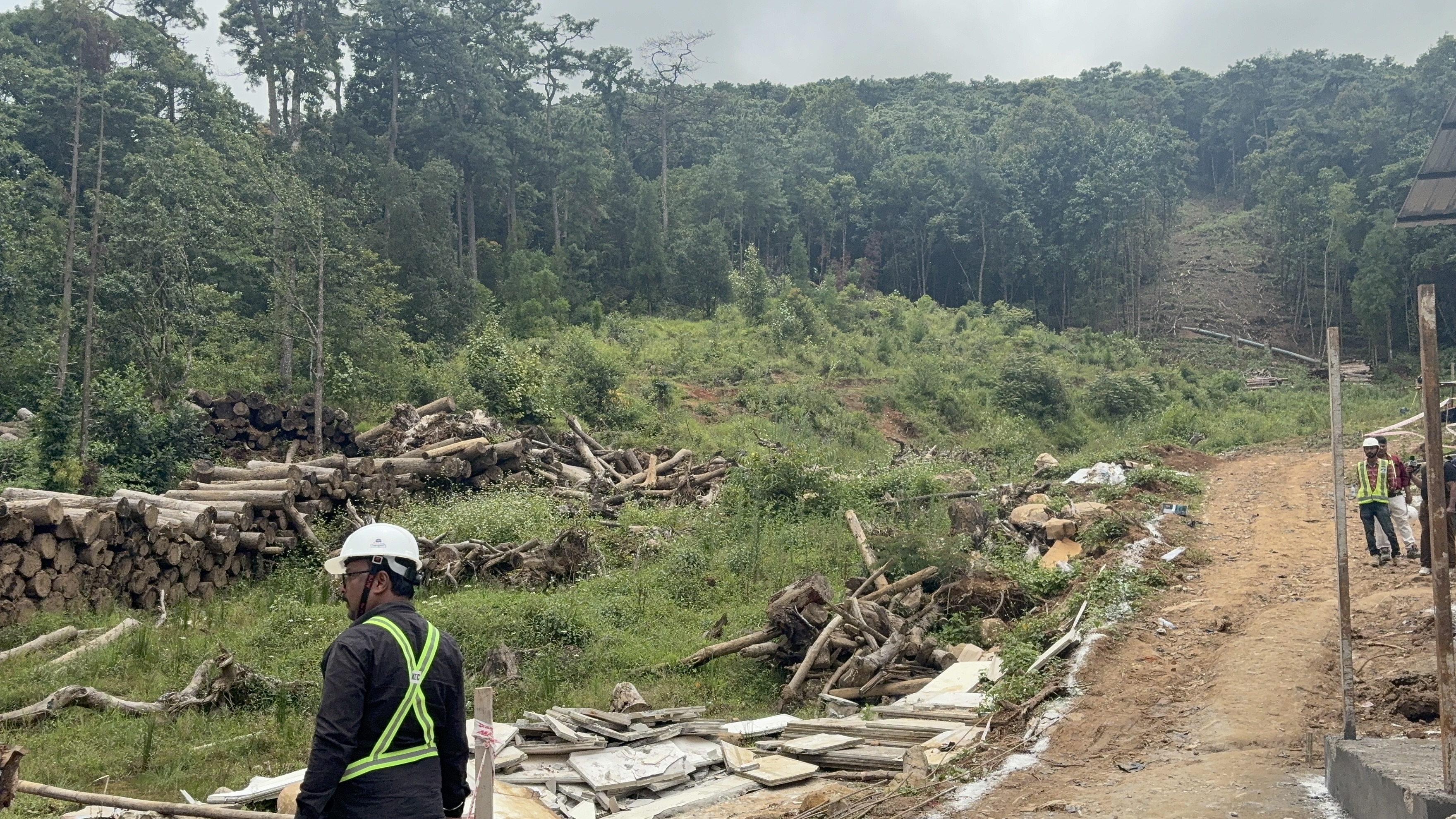 545 trees felled for Shillong Peak Ropeway