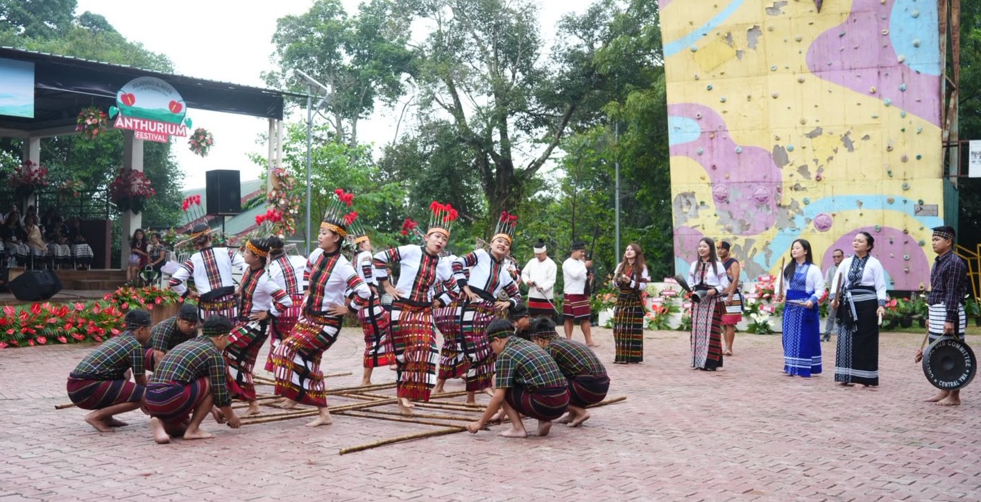 Mizoram’s Anthurium Festival Returns After Three Years